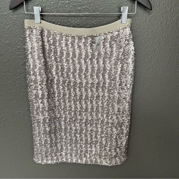 NWT J. Jill Sequins Pencil Sterling Women’s Skirt | Size XS - Picture 3 of 10